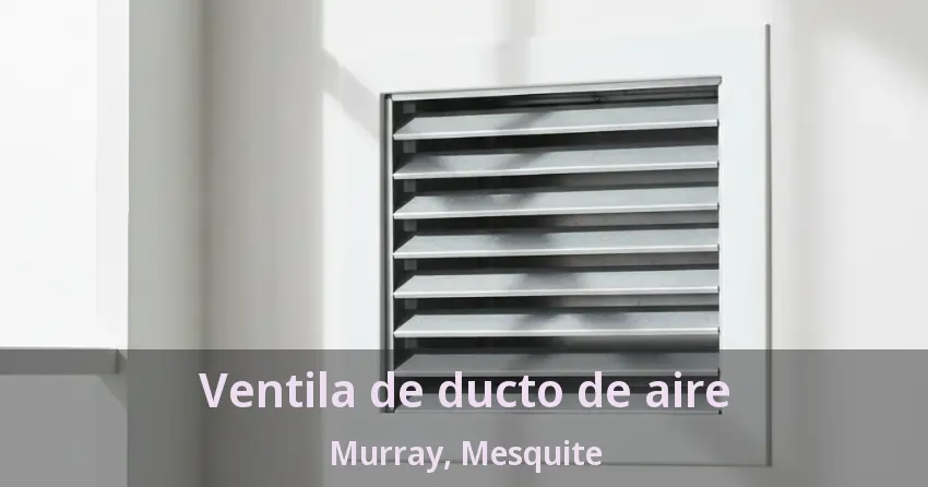 Ventila de ducto de aire Murray, Mesquite - TX Ventila de ducto de aire Murray, Mesquite - TX