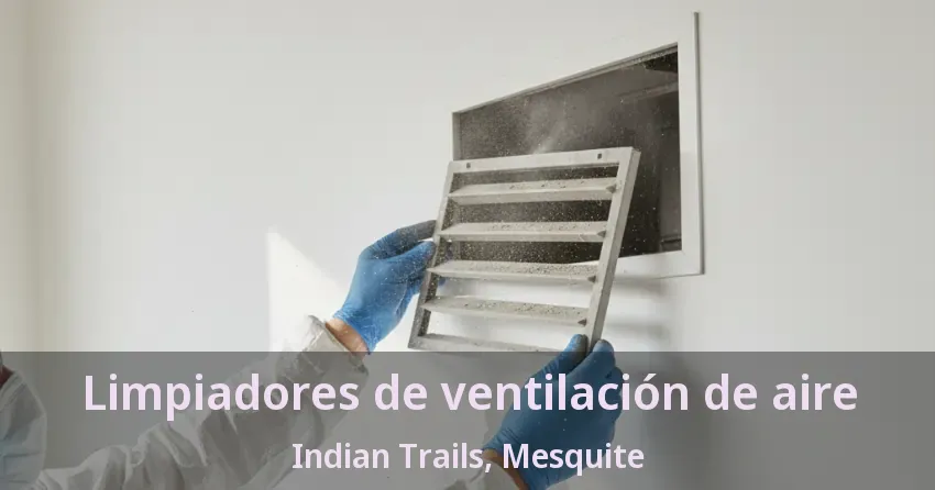 Limpiadores de ventilación de aire Indian Trails, Mesquite - TX