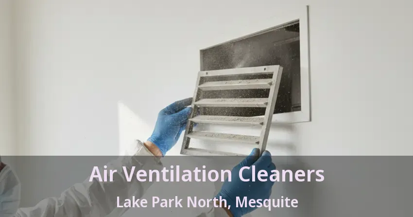 Air Ventilation Cleaners Lake Park North, Mesquite - TX