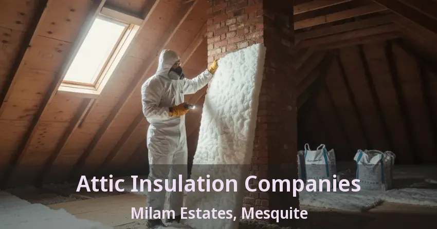 Attic Insulation Companies Milam Estates, Mesquite - TX Attic Insulation Companies Milam Estates, Mesquite - TX