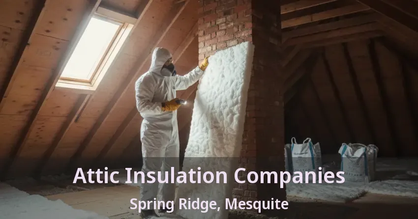 Attic Insulation Companies Spring Ridge, Mesquite - TX Attic Insulation Companies Spring Ridge, Mesquite - TX