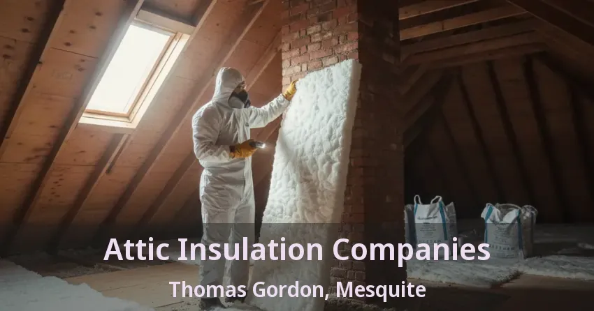 Attic Insulation Companies Thomas Gordon, Mesquite - TX Attic Insulation Companies Thomas Gordon, Mesquite - TX