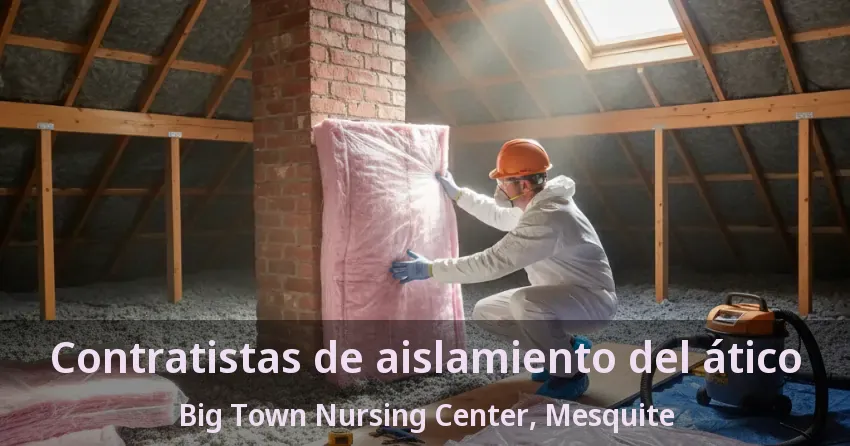 Contratistas de aislamiento del ático Big Town Nursing Center, Mesquite - TX