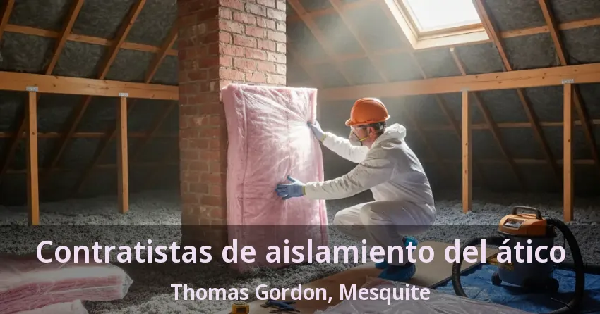 Contratistas de aislamiento del ático Thomas Gordon, Mesquite - TX