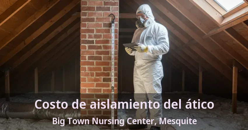 Costo de aislamiento del ático Big Town Nursing Center, Mesquite - TX Costo de aislamiento del ático Big Town Nursing Center, Mesquite - TX