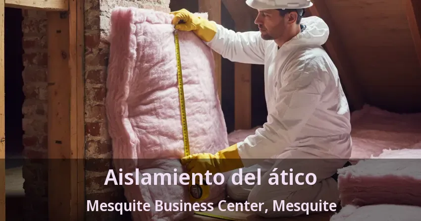 Aislamiento del ático Mesquite Business Center, Mesquite - TX