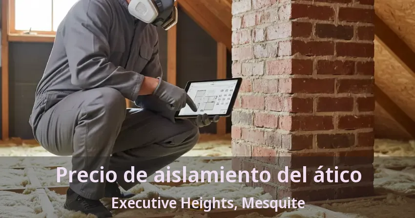 Precio de aislamiento del ático Executive Heights, Mesquite - TX