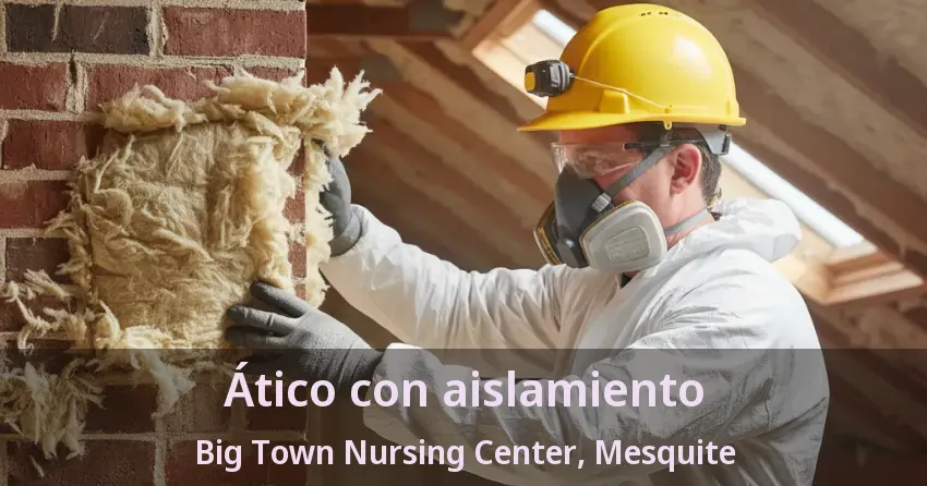 Ático con aislamiento Big Town Nursing Center, Mesquite - TX Ático con aislamiento Big Town Nursing Center, Mesquite - TX