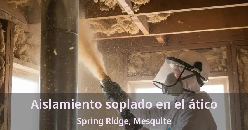 Aislamiento soplado en el ático Spring Ridge, Mesquite - TX