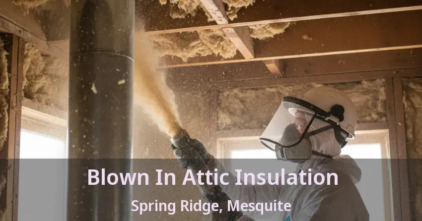 Blown In Attic Insulation Spring Ridge, Mesquite - TX Blown In Attic Insulation Spring Ridge, Mesquite - TX