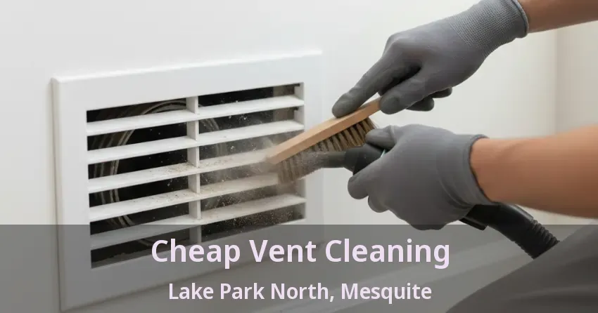 Cheap Vent Cleaning Lake Park North, Mesquite - TX Cheap Vent Cleaning Lake Park North, Mesquite - TX