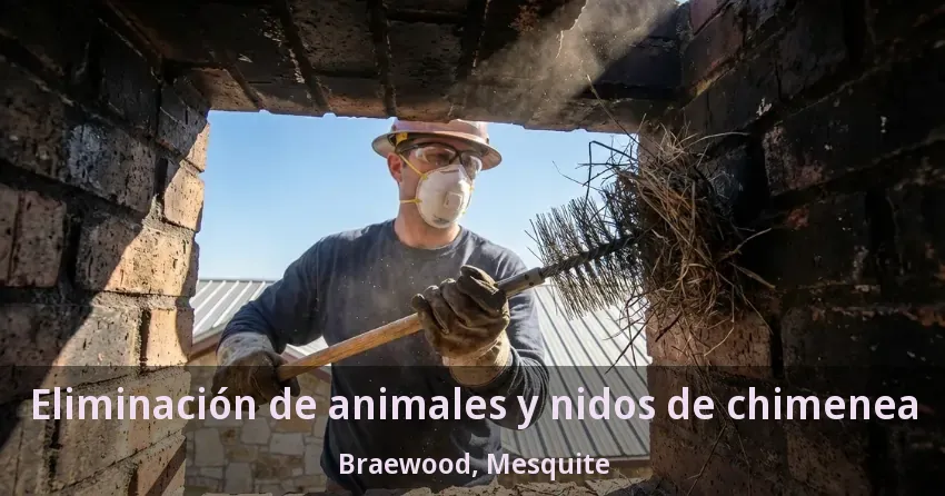 Eliminación de animales y nidos de chimenea Braewood, Mesquite - TX Eliminación de animales y nidos de chimenea Braewood, Mesquite - TX