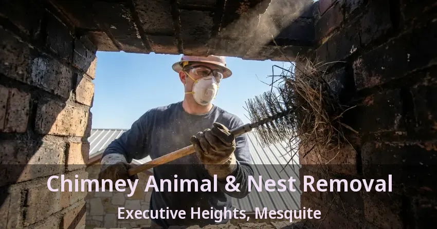 Chimney Animal & Nest Removal Executive Heights, Mesquite - TX Chimney Animal & Nest Removal Executive Heights, Mesquite - TX