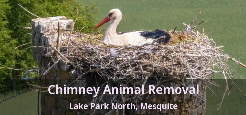 Chimney Animal Removal Lake Park North, Mesquite - TX Chimney Animal Removal Lake Park North, Mesquite - TX