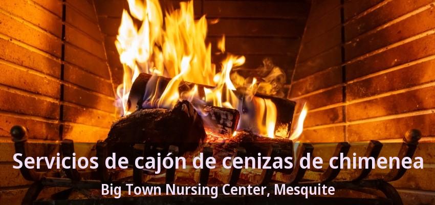 Servicios de cajón de cenizas de chimenea Big Town Nursing Center, Mesquite - TX Servicios de cajón de cenizas de chimenea Big Town Nursing Center, Mesquite - TX