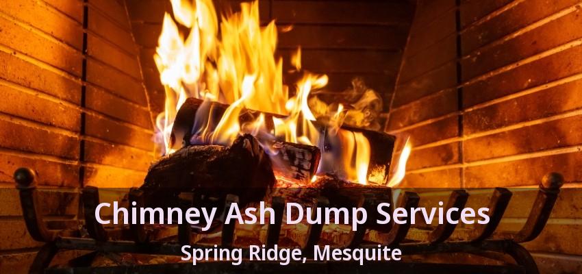 Chimney Ash Dump Services Spring Ridge, Mesquite - TX