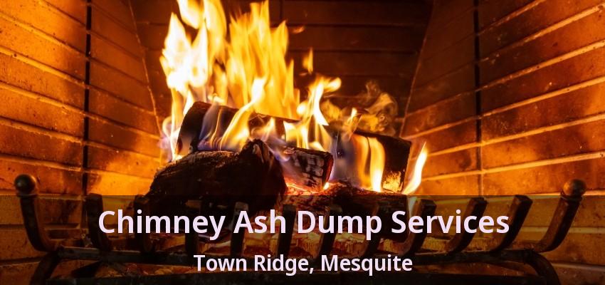 Chimney Ash Dump Services Town Ridge, Mesquite - TX Chimney Ash Dump Services Town Ridge, Mesquite - TX