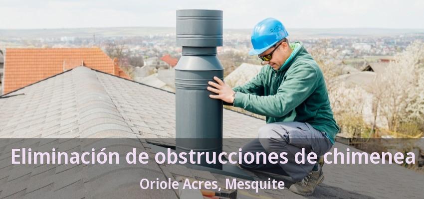 Eliminación de obstrucciones de chimenea Oriole Acres, Mesquite - TX