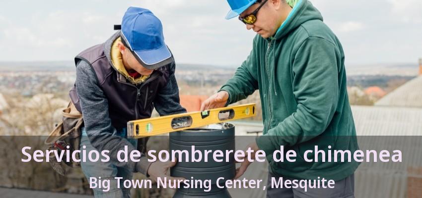 Servicios de sombrerete de chimenea Big Town Nursing Center, Mesquite - TX