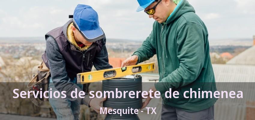 Servicios de sombrerete de chimenea Mesquite - TX Servicios de sombrerete de chimenea Mesquite - TX