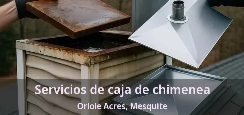 Servicios de caja de chimenea Oriole Acres, Mesquite - TX Servicios de caja de chimenea Oriole Acres, Mesquite - TX