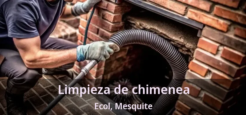 Limpieza de chimenea Ecol, Mesquite - TX
