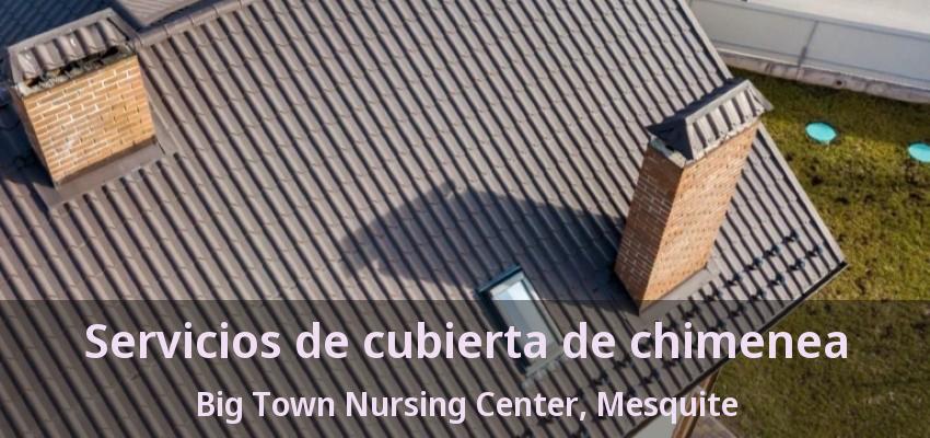 Servicios de cubierta de chimenea Big Town Nursing Center, Mesquite - TX Servicios de cubierta de chimenea Big Town Nursing Center, Mesquite - TX