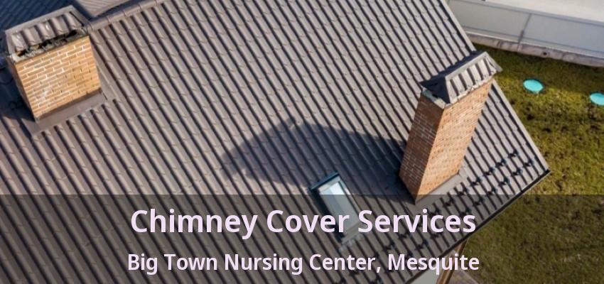 Chimney Cover Services Big Town Nursing Center, Mesquite - TX Chimney Cover Services Big Town Nursing Center, Mesquite - TX