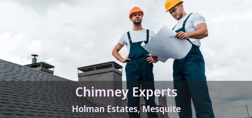Chimney Experts Holman Estates, Mesquite - TX Chimney Experts Holman Estates, Mesquite - TX