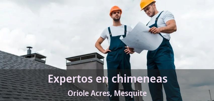 Expertos en chimeneas Oriole Acres, Mesquite - TX Expertos en chimeneas Oriole Acres, Mesquite - TX