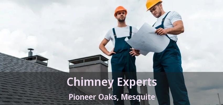 Chimney Experts Pioneer Oaks, Mesquite - TX