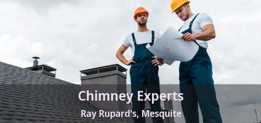 Chimney Experts Ray Rupard's, Mesquite - TX