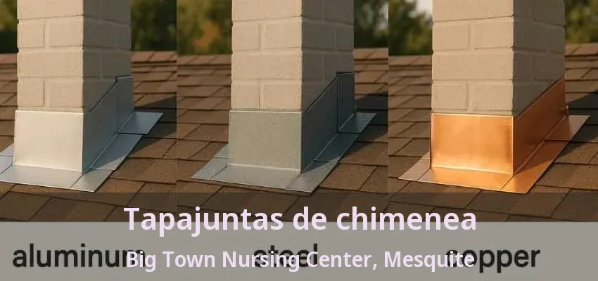 Tapajuntas de chimenea Big Town Nursing Center, Mesquite - TX Tapajuntas de chimenea Big Town Nursing Center, Mesquite - TX