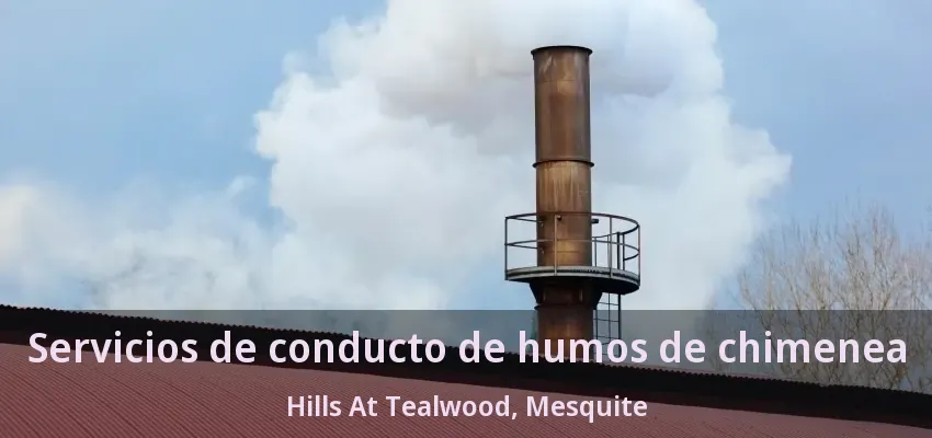 Servicios de conducto de humos de chimenea Hills At Tealwood, Mesquite - TX Servicios de conducto de humos de chimenea Hills At Tealwood, Mesquite - TX