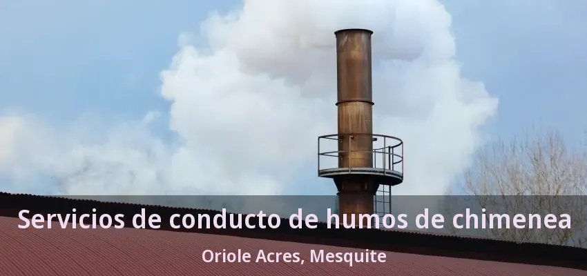 Servicios de conducto de humos de chimenea Oriole Acres, Mesquite - TX Servicios de conducto de humos de chimenea Oriole Acres, Mesquite - TX