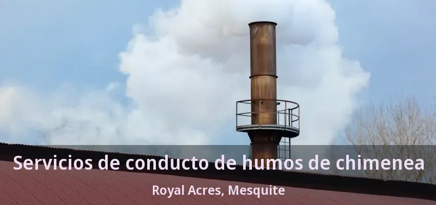 Servicios de conducto de humos de chimenea Royal Acres, Mesquite - TX Servicios de conducto de humos de chimenea Royal Acres, Mesquite - TX