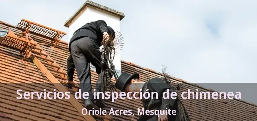 Servicios de inspección de chimenea Oriole Acres, Mesquite - TX