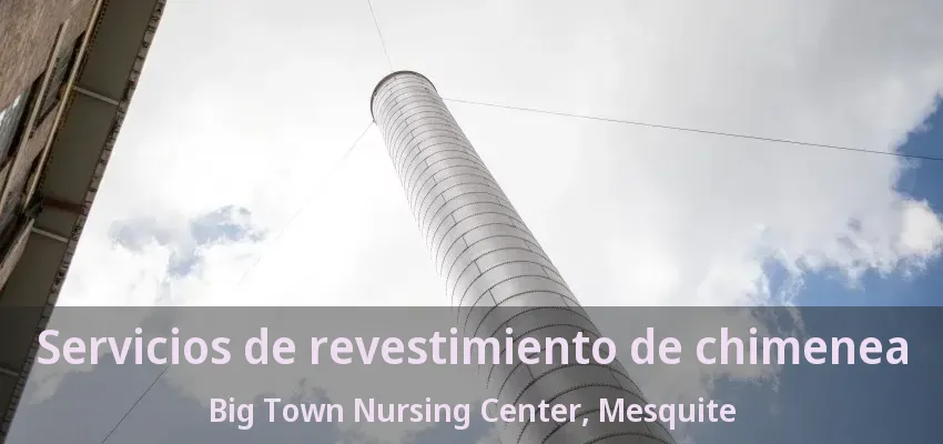 Servicios de revestimiento de chimenea Big Town Nursing Center, Mesquite - TX Servicios de revestimiento de chimenea Big Town Nursing Center, Mesquite - TX