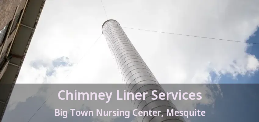 Chimney Liner Services Big Town Nursing Center, Mesquite - TX Chimney Liner Services Big Town Nursing Center, Mesquite - TX
