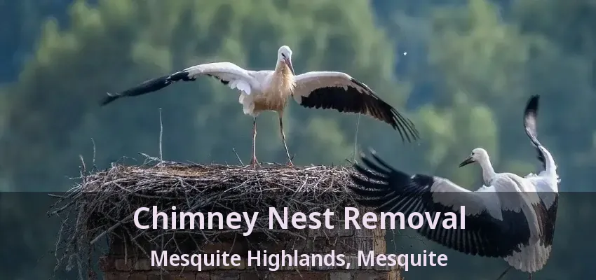 Chimney Nest Removal Mesquite Highlands, Mesquite - TX Chimney Nest Removal Mesquite Highlands, Mesquite - TX