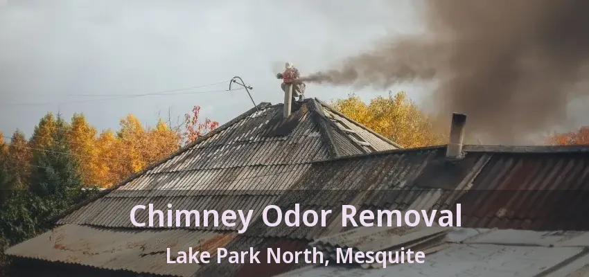 Chimney Odor Removal Lake Park North, Mesquite - TX Chimney Odor Removal Lake Park North, Mesquite - TX