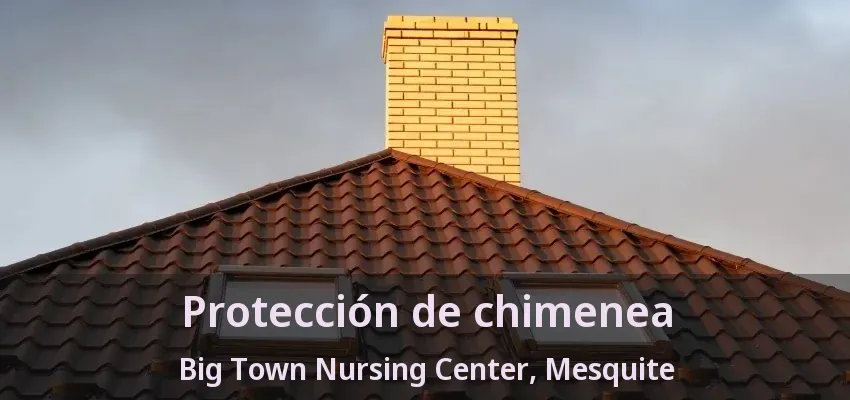 Protección de chimenea Big Town Nursing Center, Mesquite - TX Protección de chimenea Big Town Nursing Center, Mesquite - TX