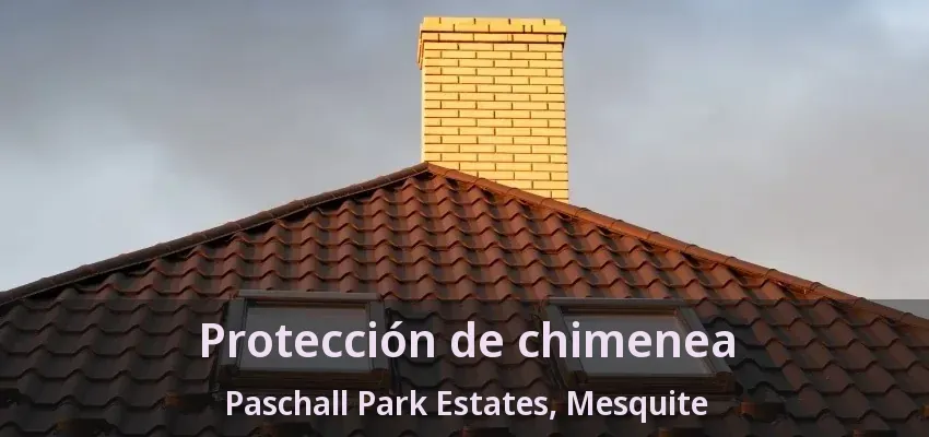 Protección de chimenea Paschall Park Estates, Mesquite - TX Protección de chimenea Paschall Park Estates, Mesquite - TX