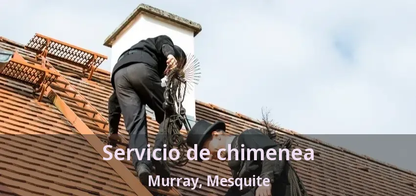 Servicio de chimenea Murray, Mesquite - TX Servicio de chimenea Murray, Mesquite - TX