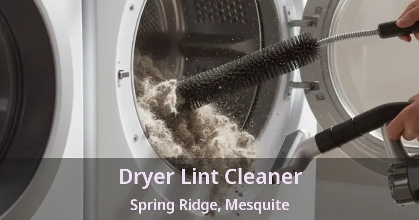 Dryer Lint Cleaner Spring Ridge, Mesquite - TX Dryer Lint Cleaner Spring Ridge, Mesquite - TX