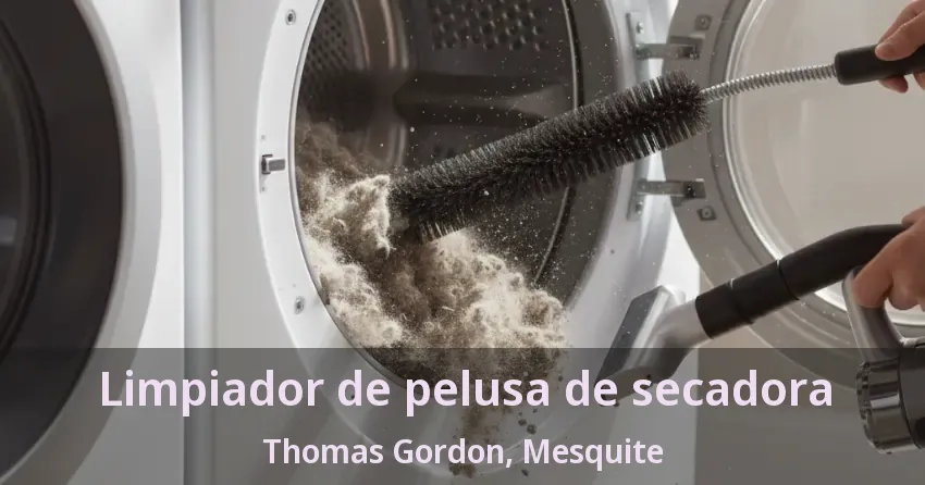 Limpiador de pelusa de secadora Thomas Gordon, Mesquite - TX Limpiador de pelusa de secadora Thomas Gordon, Mesquite - TX