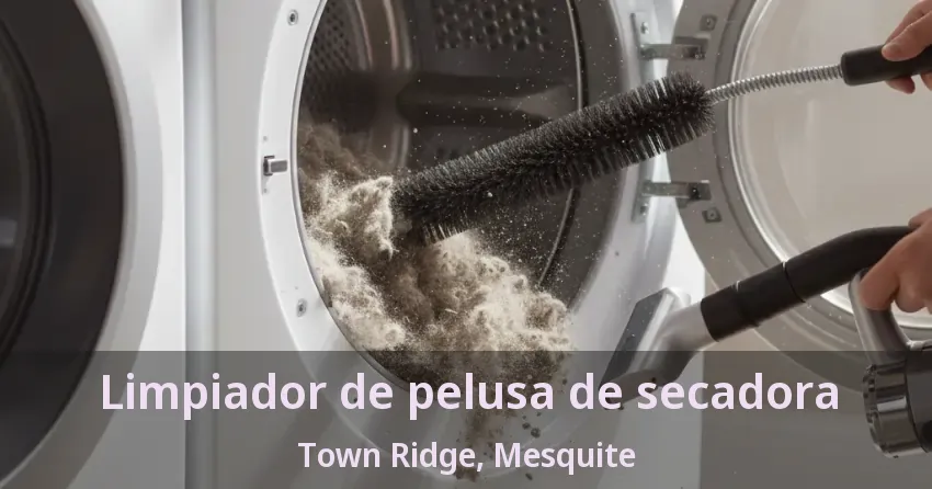 Limpiador de pelusa de secadora Town Ridge, Mesquite - TX Limpiador de pelusa de secadora Town Ridge, Mesquite - TX