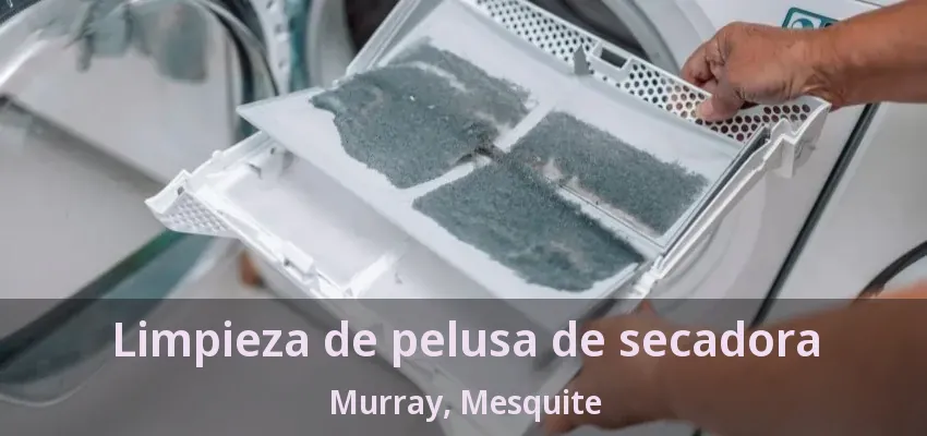 Limpieza de pelusa de secadora Murray, Mesquite - TX Limpieza de pelusa de secadora Murray, Mesquite - TX