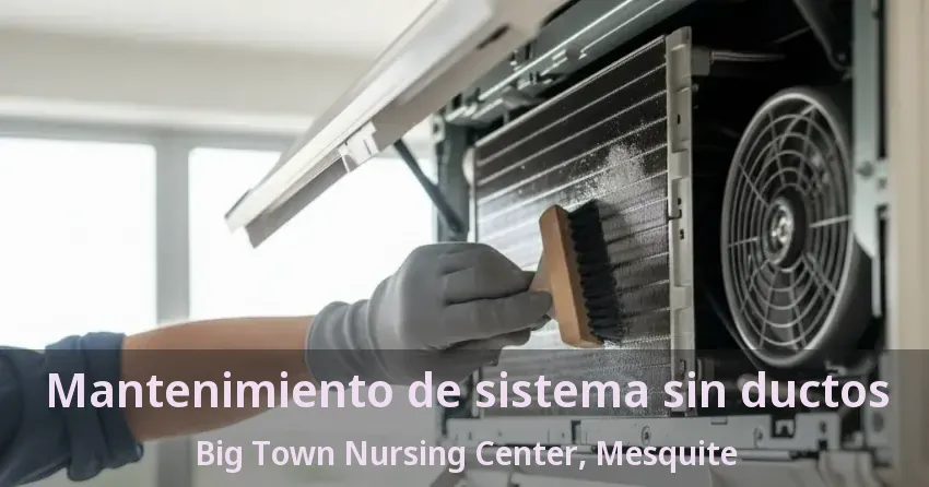 Mantenimiento de sistema sin ductos Big Town Nursing Center, Mesquite - TX Mantenimiento de sistema sin ductos Big Town Nursing Center, Mesquite - TX