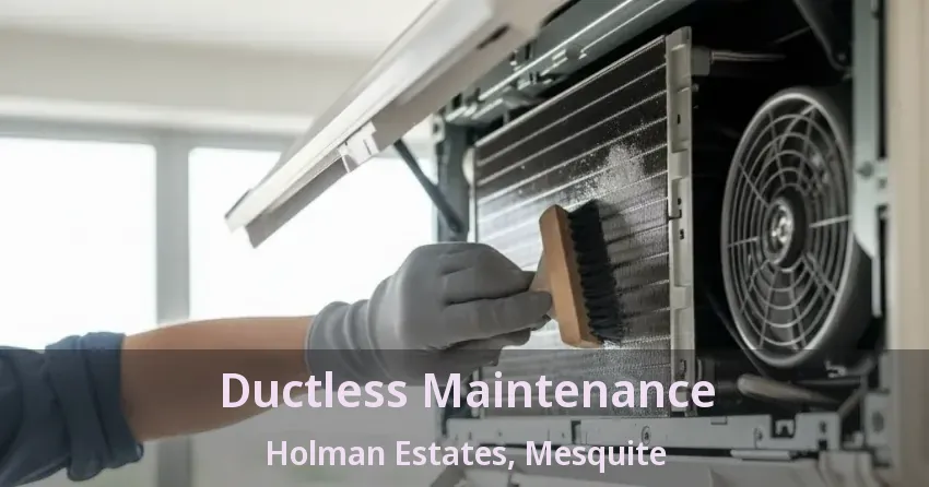 Ductless Maintenance Holman Estates, Mesquite - TX Ductless Maintenance Holman Estates, Mesquite - TX